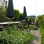Mon Klintholm Vintage Borre