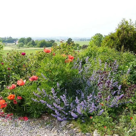 Mon Klintholm Vintage Bed and breakfast