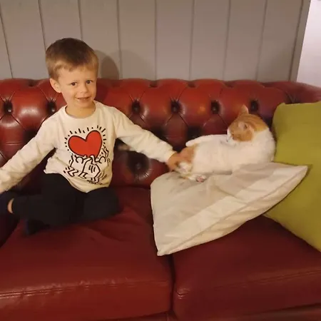 Bed & Breakfast Klintholm Bistro Borre