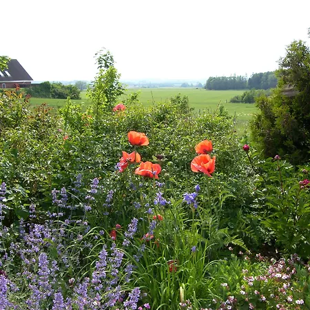 Bed and Breakfast Mon Klintholm Vintage