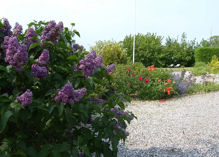 Klintholm Bistro Couette-café 4*