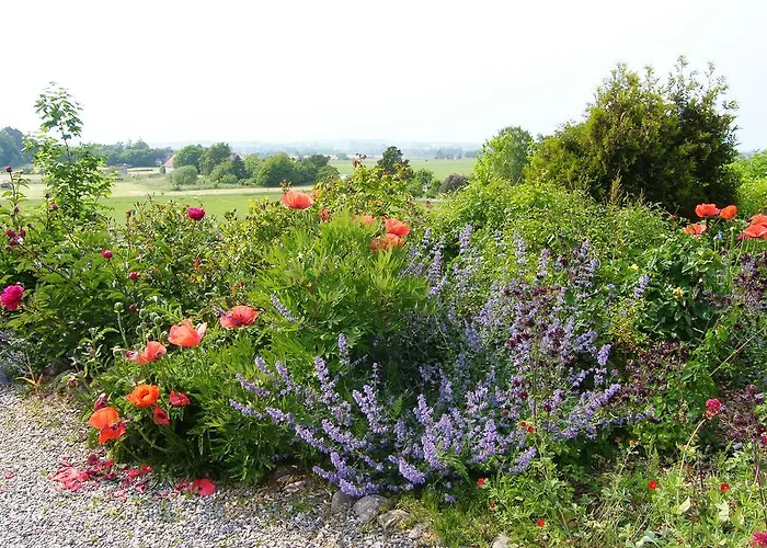 Klintholm Bistro Bed and breakfast