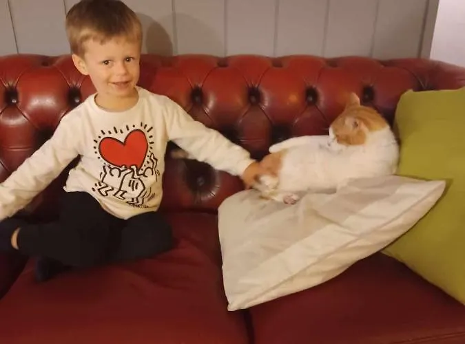 Couette-café Klintholm Bistro Borre