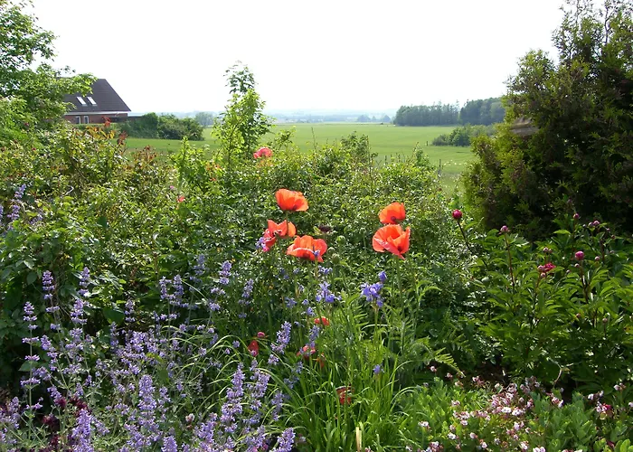 Bed and Breakfast Mon Klintholm Vintage